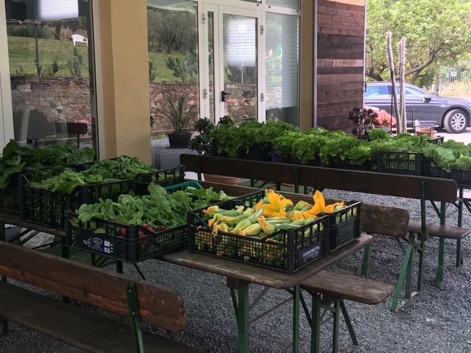 Agriturismo Argentea Villa Arenzano Eksteriør bilde
