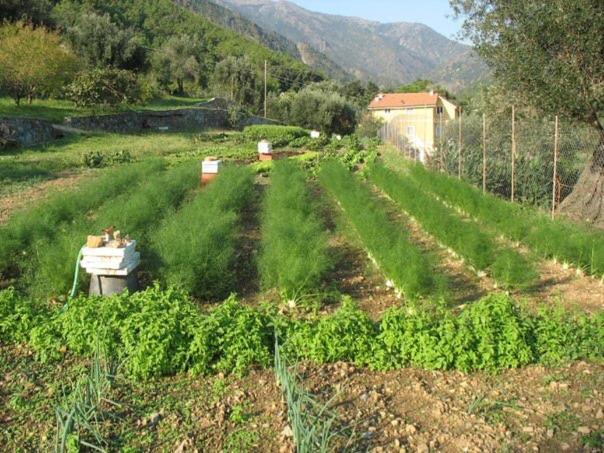 Agriturismo Argentea Villa Arenzano Eksteriør bilde